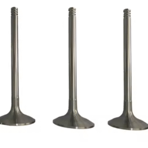 Inlet Valve Exhaust Valve FL912 0423 1479 0423 4951 04231479 04234951 Three Solt