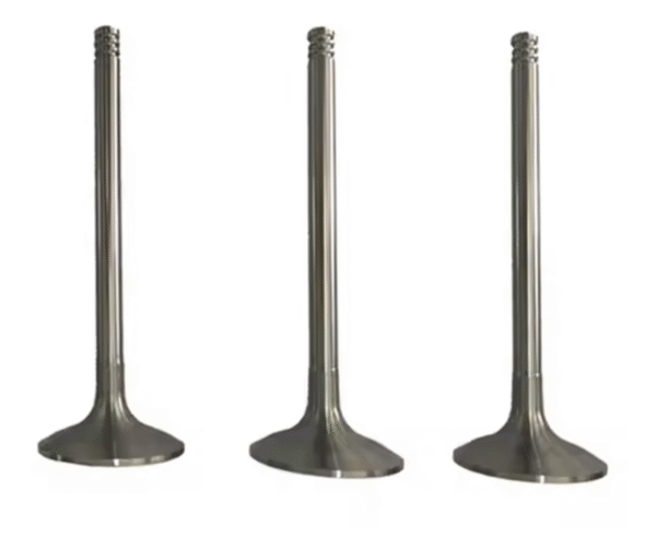 Inlet Valve Exhaust Valve FL912 0423 1479 0423 4951 04231479 04234951 Three Solt
